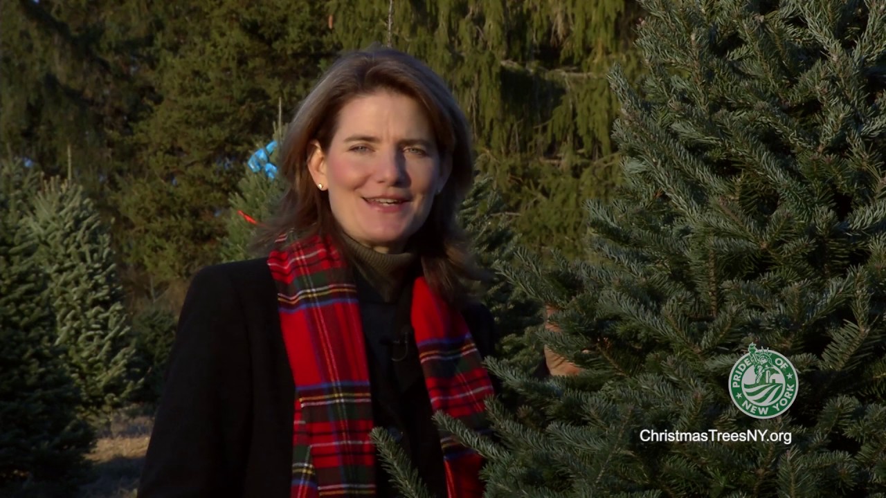 NYS Christmas Tree Farmers